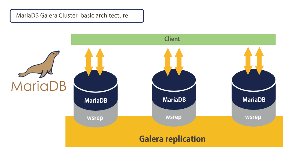 مهاجرت از دیتابیس mariadb به galera cluster